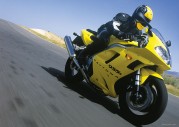 Triumph Daytona 955i